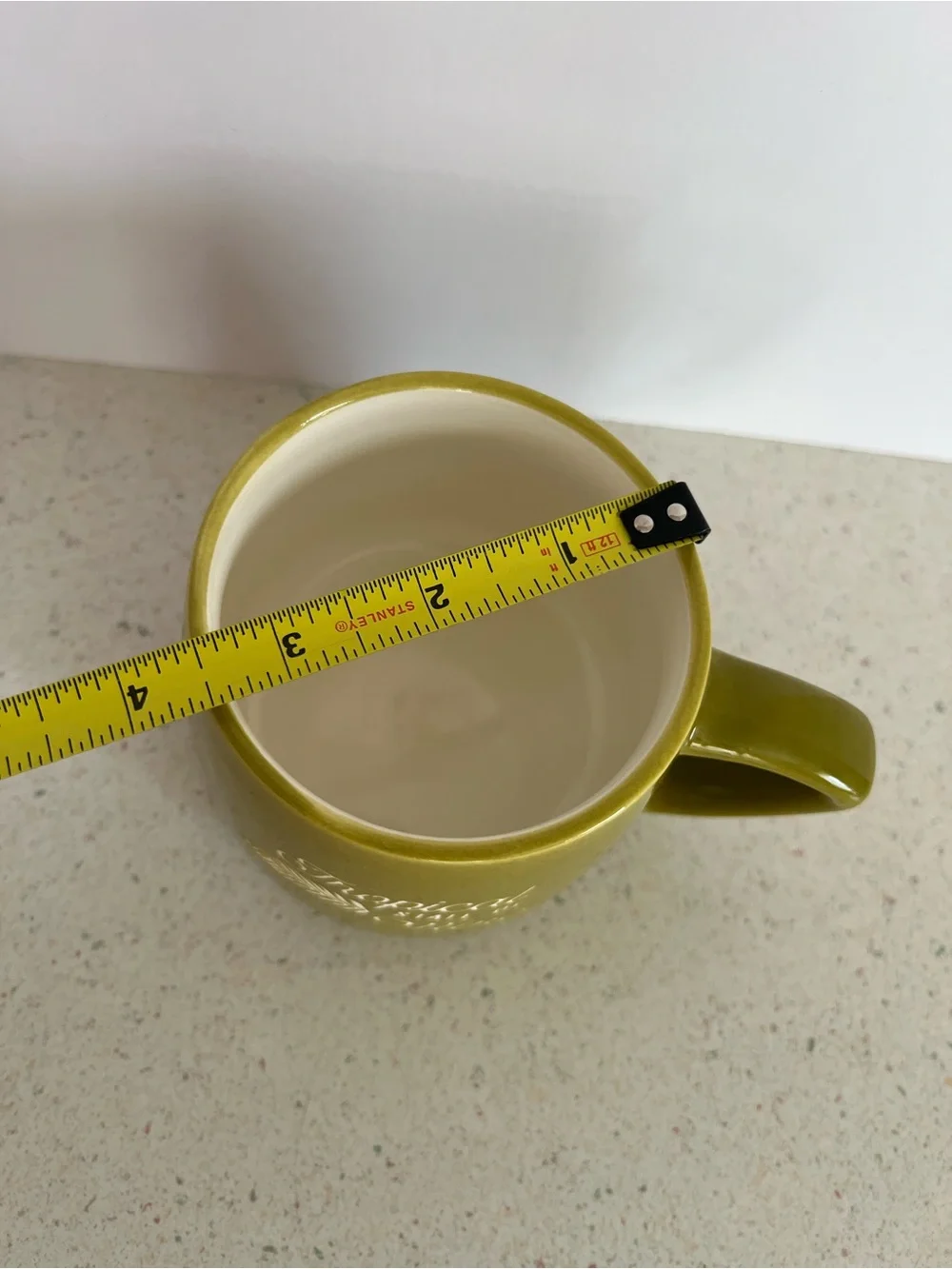 Place & Time “ Tropical State Of Mind” Palm Leaf Green 16oz Ceramic Coffee Mug